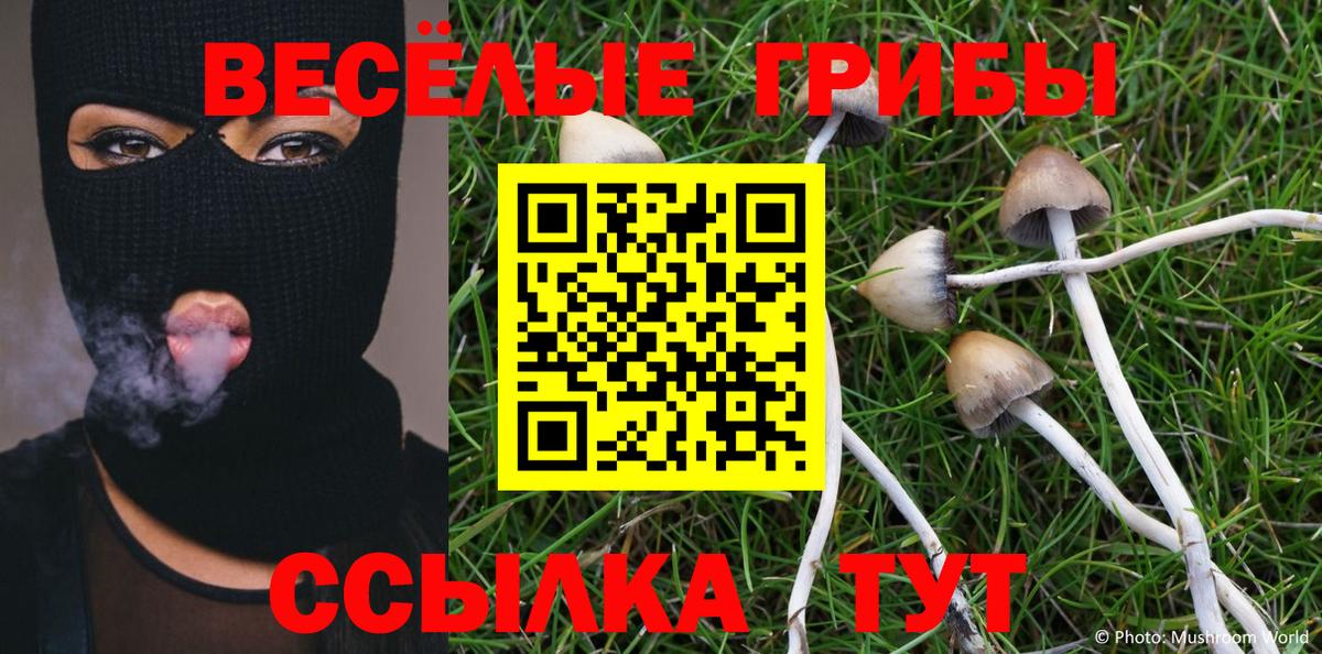 Псилоцибиновые грибы прущие грибы  дарнет шоп  Галлюциногенные грибы мухоморы  Верхняя Пышма  Вход с VPN 