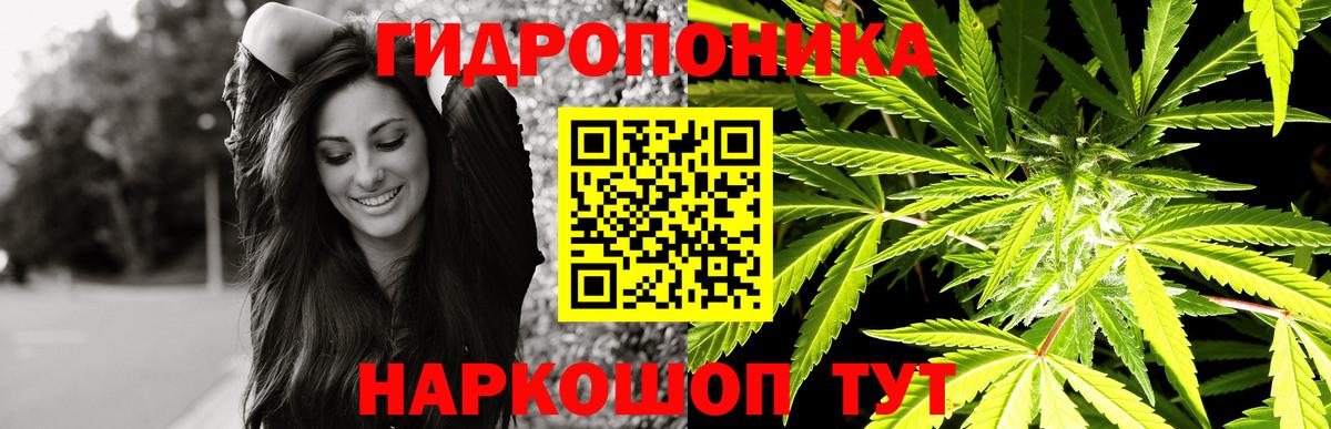 Шишки марихуана White Widow Верхняя Пышма